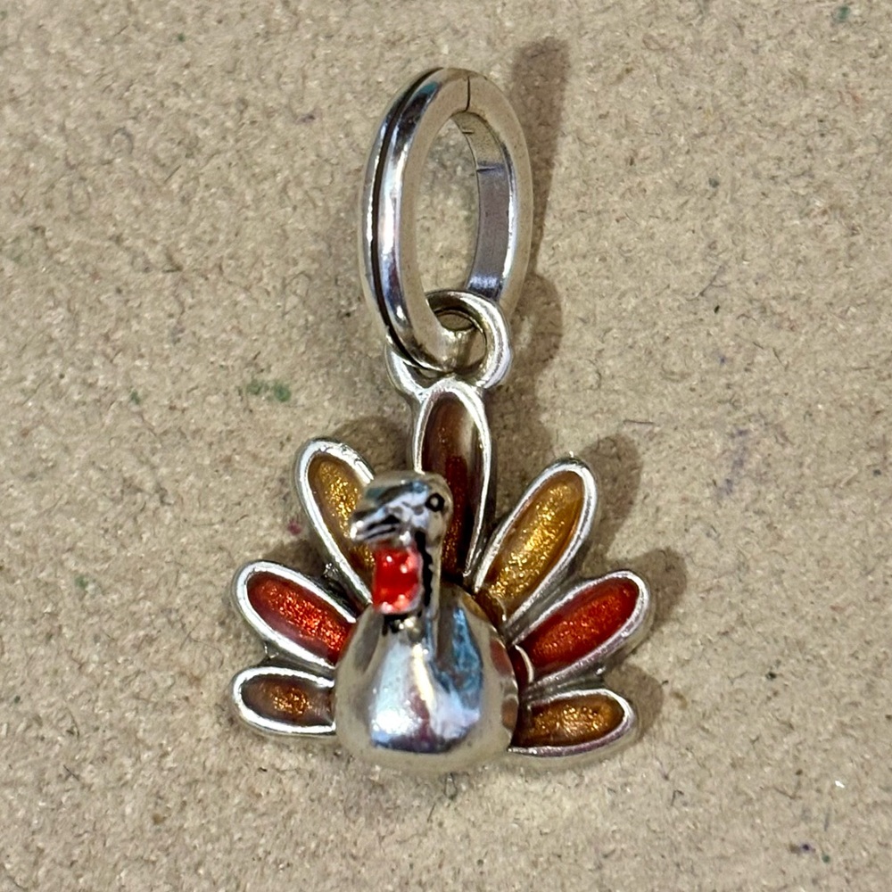🦃Listing! 🆕 Brighton Gobble Gobble turkey charm Enameled tail in brown & orange